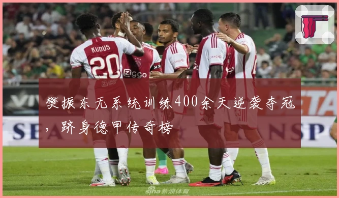 樊振东无系统训练400余天逆袭夺冠，跻身德甲传奇榜